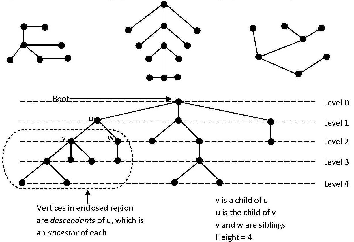 Tree Diagram Definition Computer Science Learners Binary Search Tree