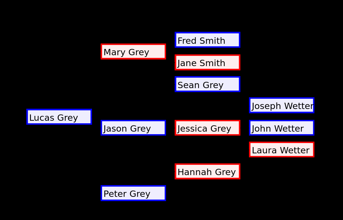 Tree Diagram Definition Family Tree Wikipedia