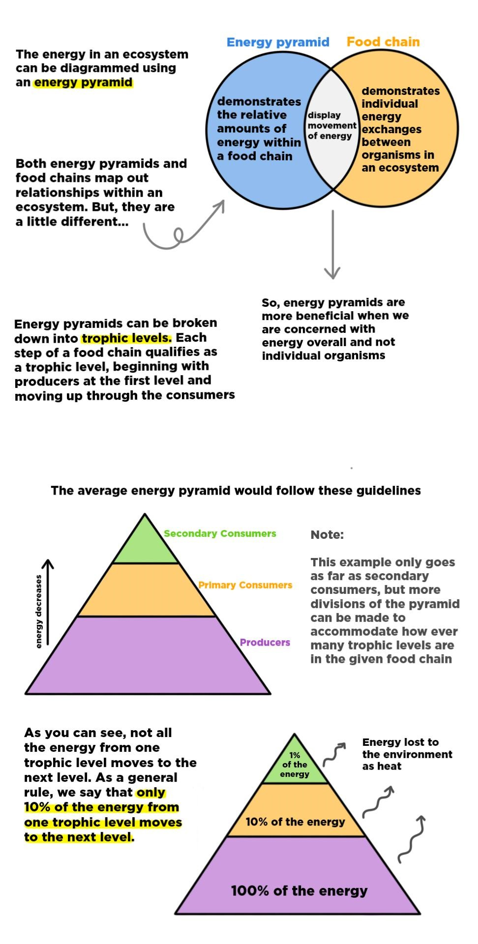 Trophic Level Diagram Energy Pyramid Expii