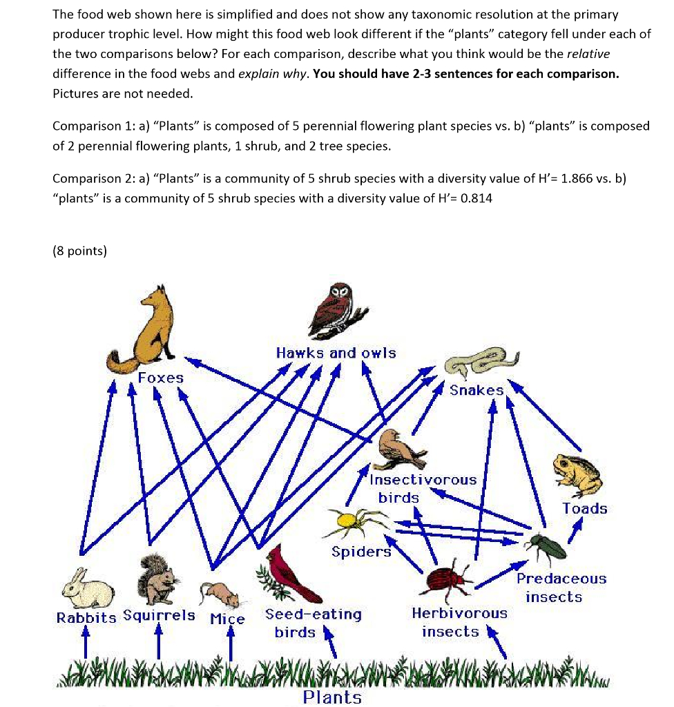 Trophic Level Diagram Solved The Food Web Shown Here Is Simplified And Does Not