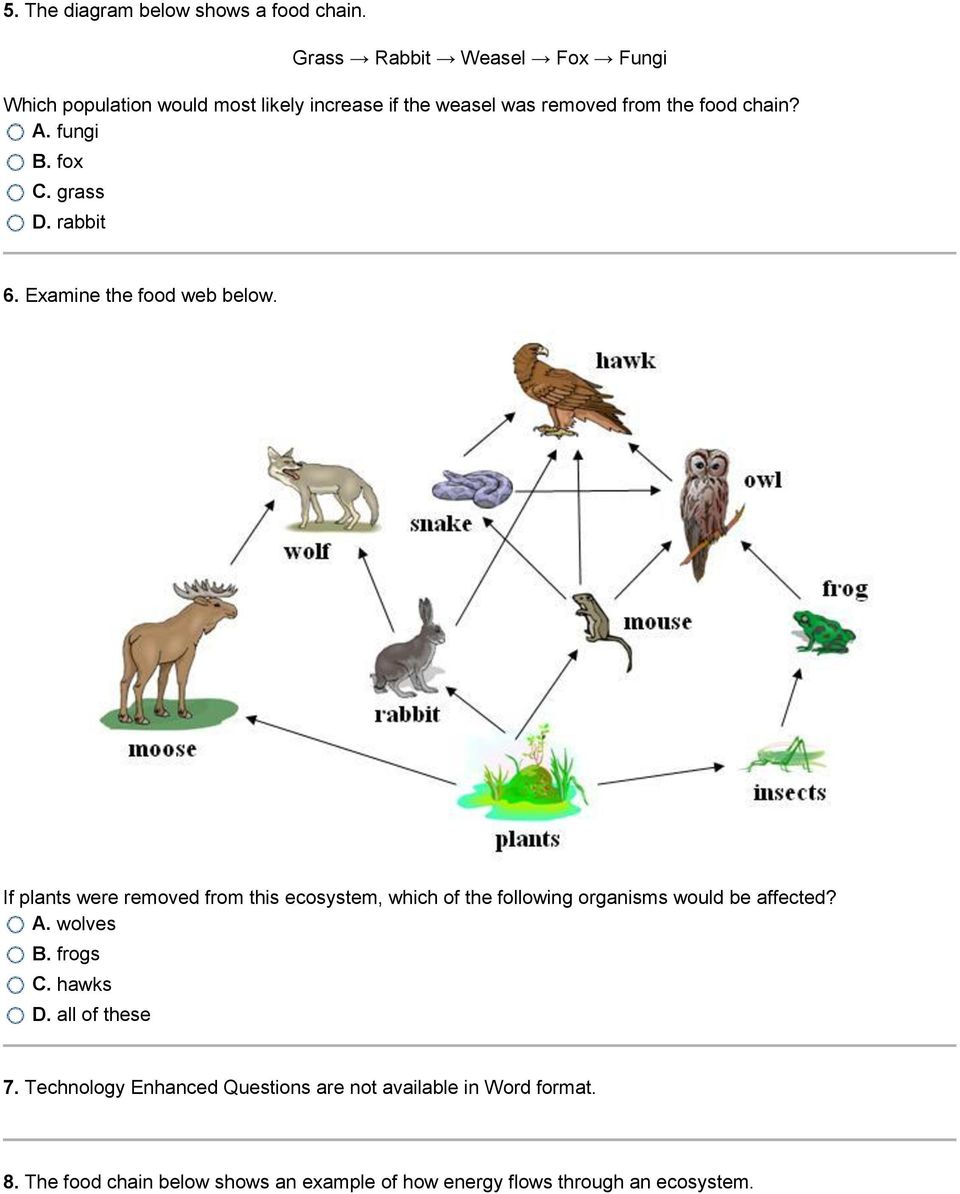 Trophic Level Diagram The Animals At Higher Levels Are More Competitive So Fewer Animals