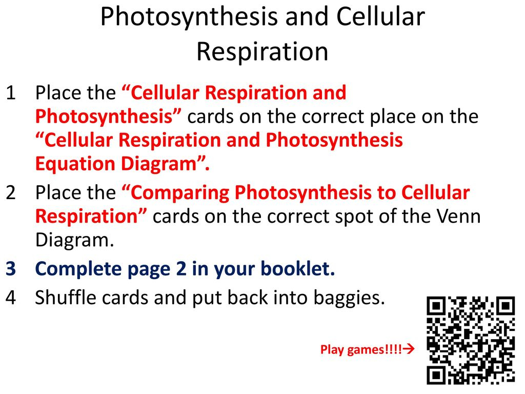 Venn Diagram Of Photosynthesis And Cellular Respiration Biomolecules Analyze The Protein Lipid And Carbohydrate Molecule