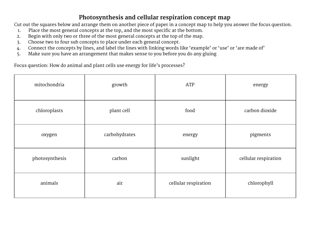 Venn Diagram Of Photosynthesis And Cellular Respiration Photosynthesis And Cellular Respiration Concept Map