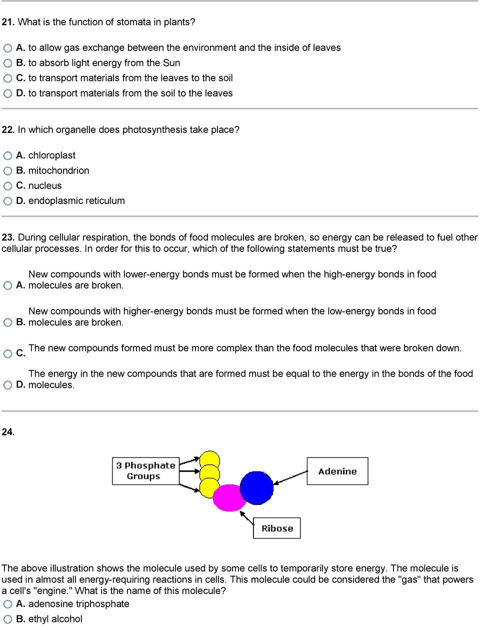 Venn Diagram Of Photosynthesis And Cellular Respiration Photosynthesis And Cellular Respiration Worksheet Luxury