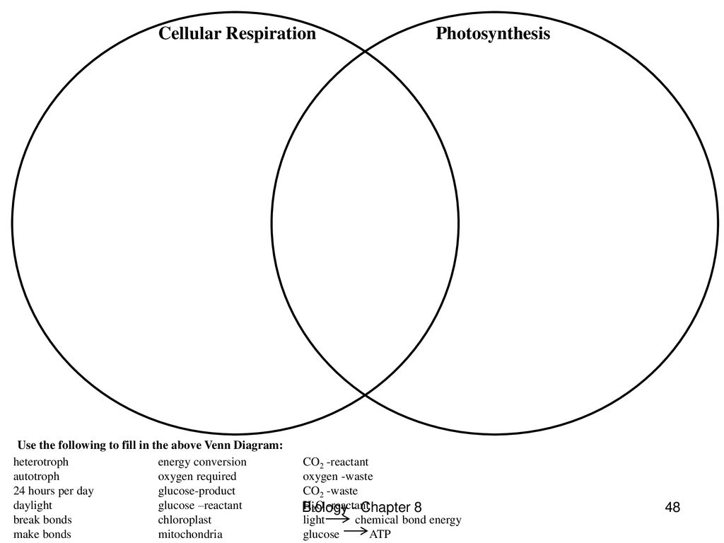 Venn Diagram Of Photosynthesis And Cellular Respiration Photosynthesis Edwin P Davis Med Biology Chapter Ppt Download