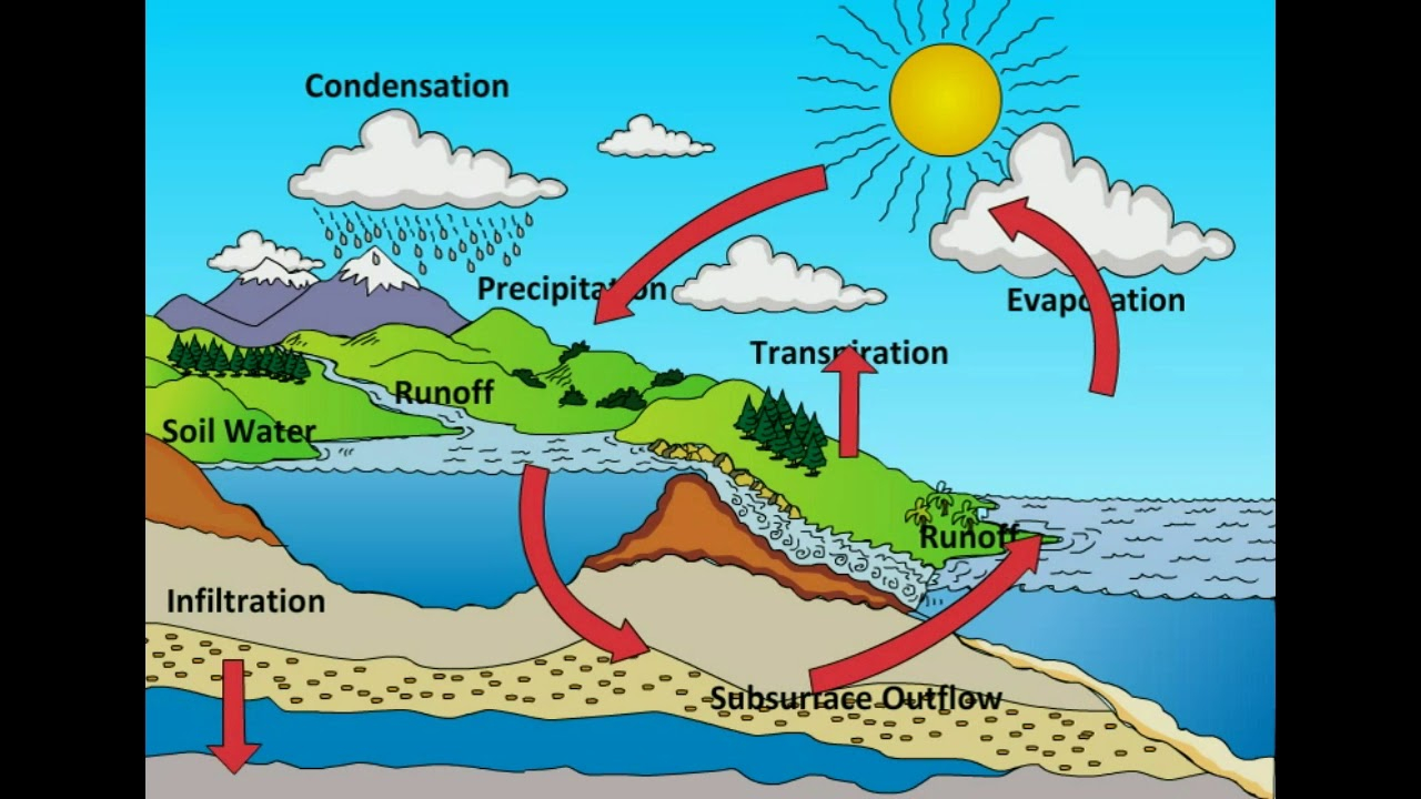 Water Cycle Diagram 6th Class Water Cycle