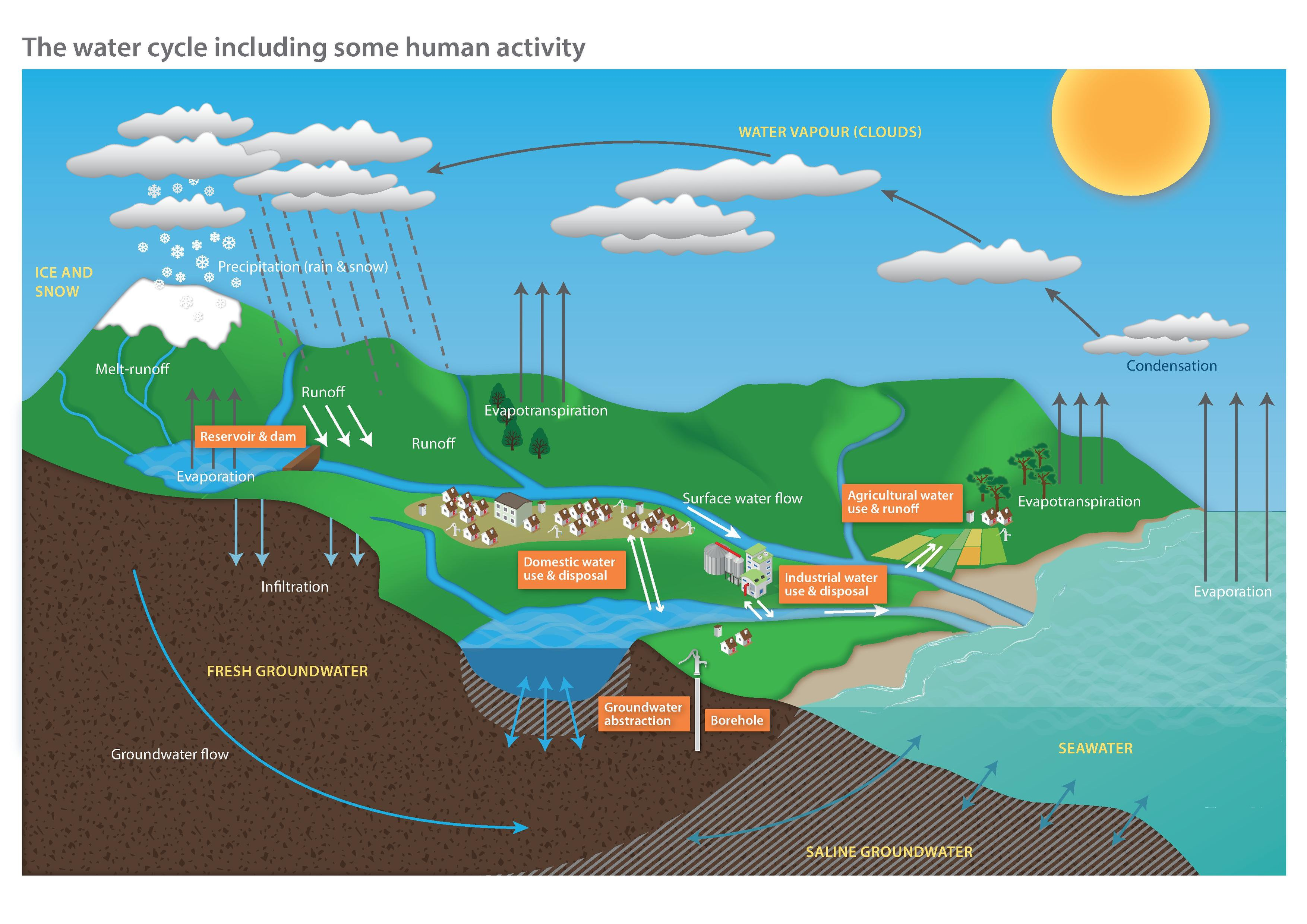 Water Cycle Diagram Filediagram Of The Water Cycle Including Some Human Activitypdf