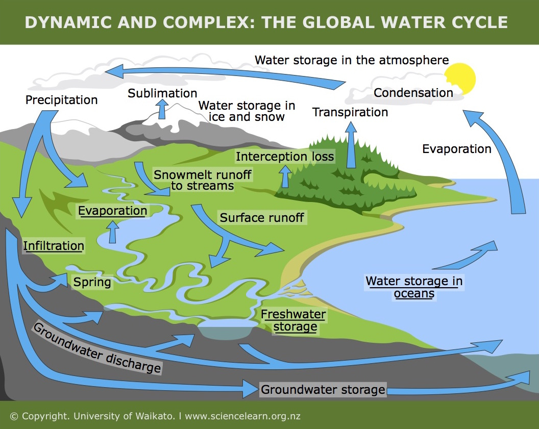 Water Cycle Diagram New Diagrams Explain How Humans Affect Water Cycle