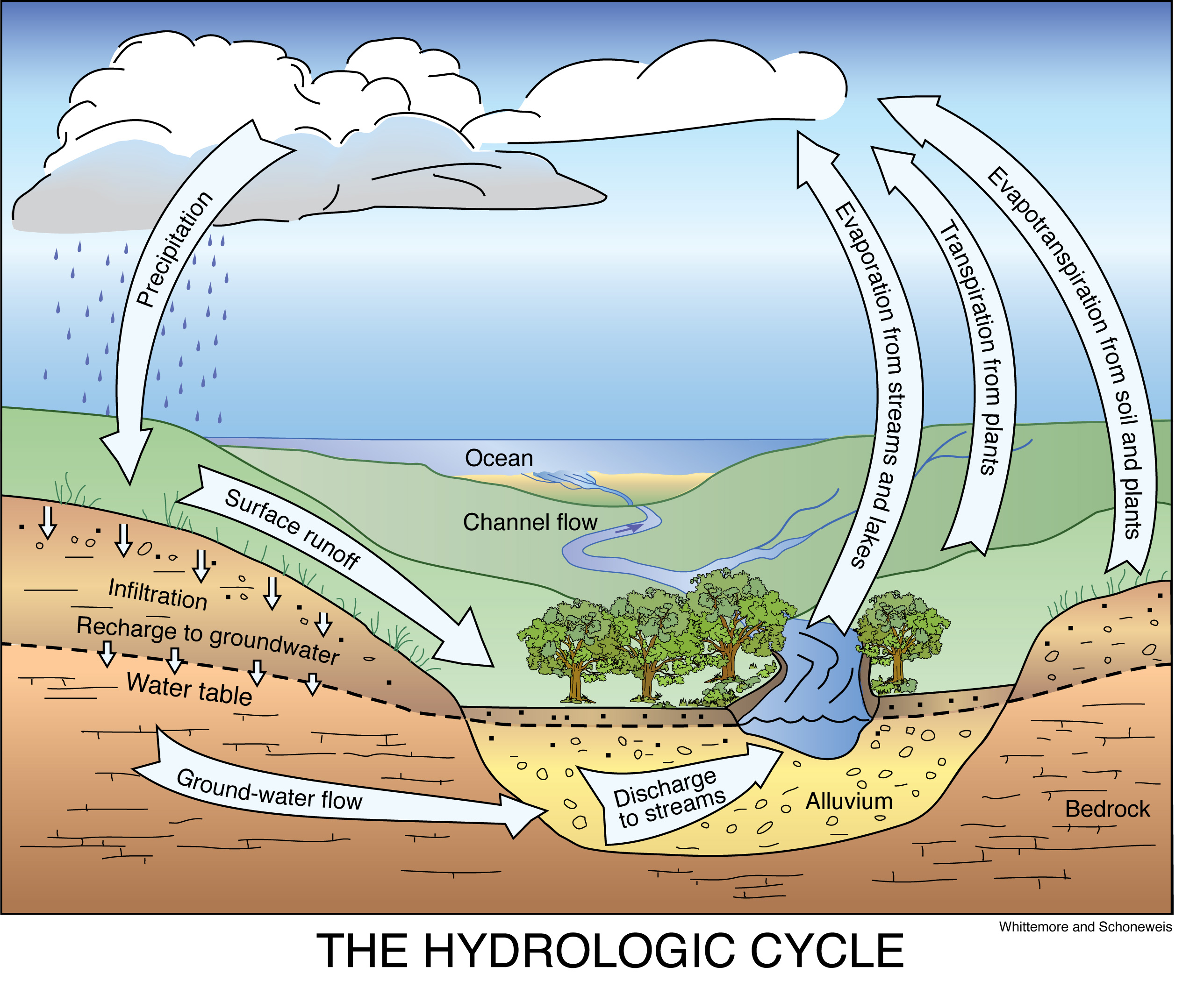 Water Cycle Diagram The Hydrologic Water Cycle Geokansas