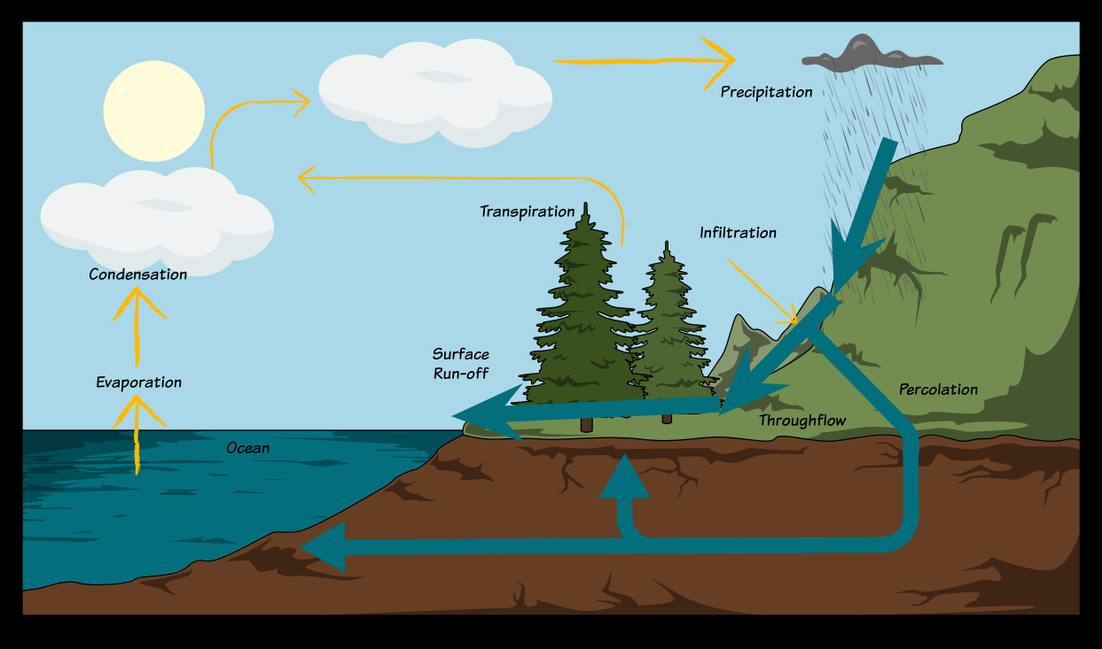 Water Cycle Diagram The Water Cycle Diagram Storyboard Oliversmith