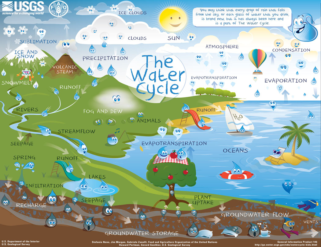 Water Cycle Diagram The Water Cycle For Schools And Students