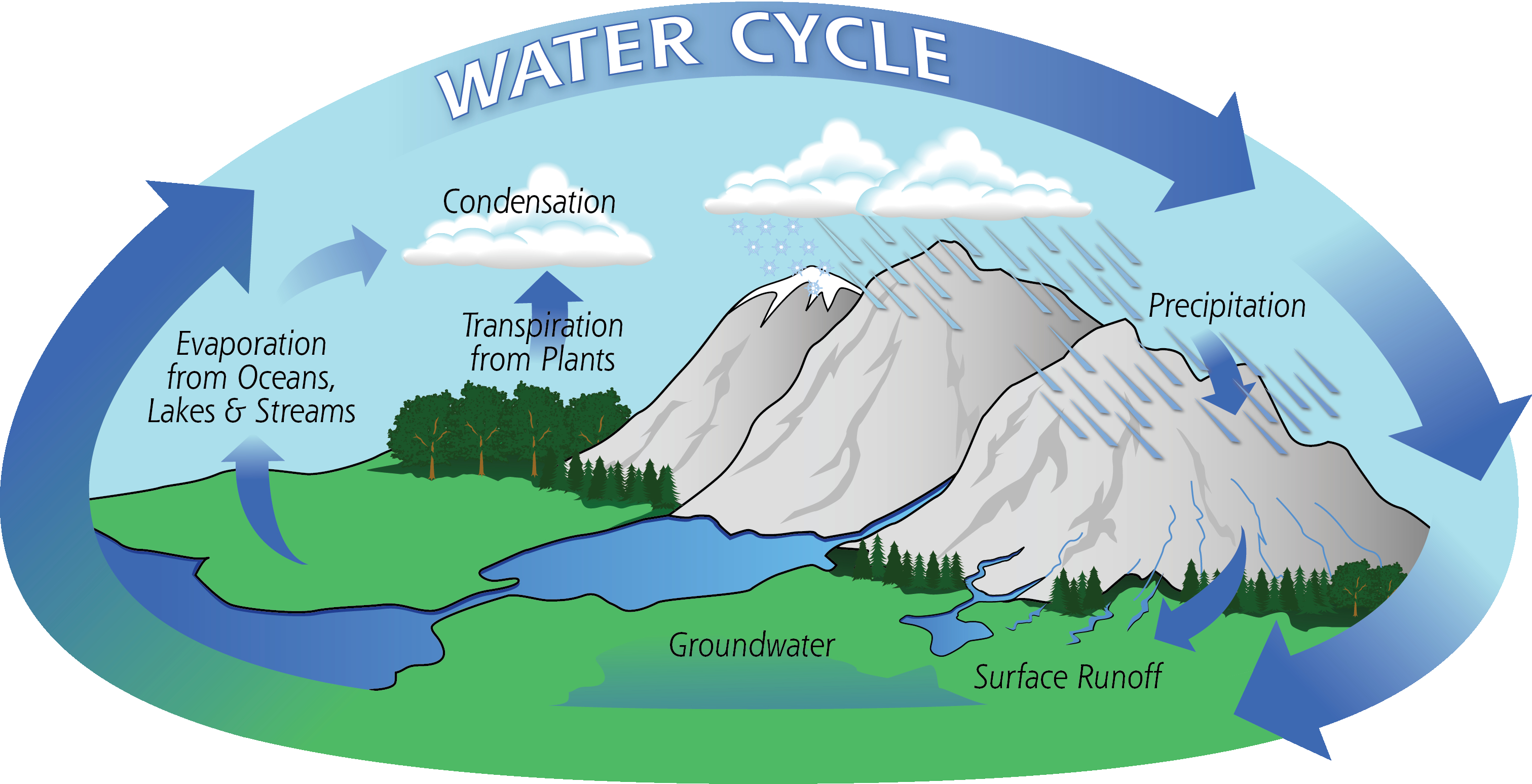 Water Cycle Diagram The Water Cycle Precipitation Education