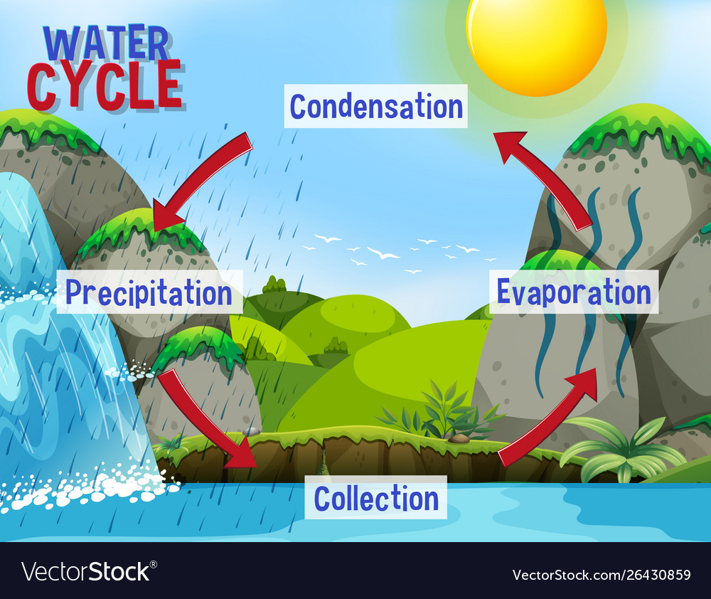 Water Cycle Diagram Water Cycle Process On Earth Scientific