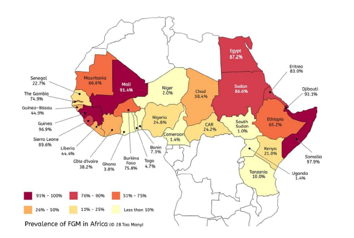 Women's Genitalia Diagram African Countries Urged To Toughen Laws On Female Genital Mutilation