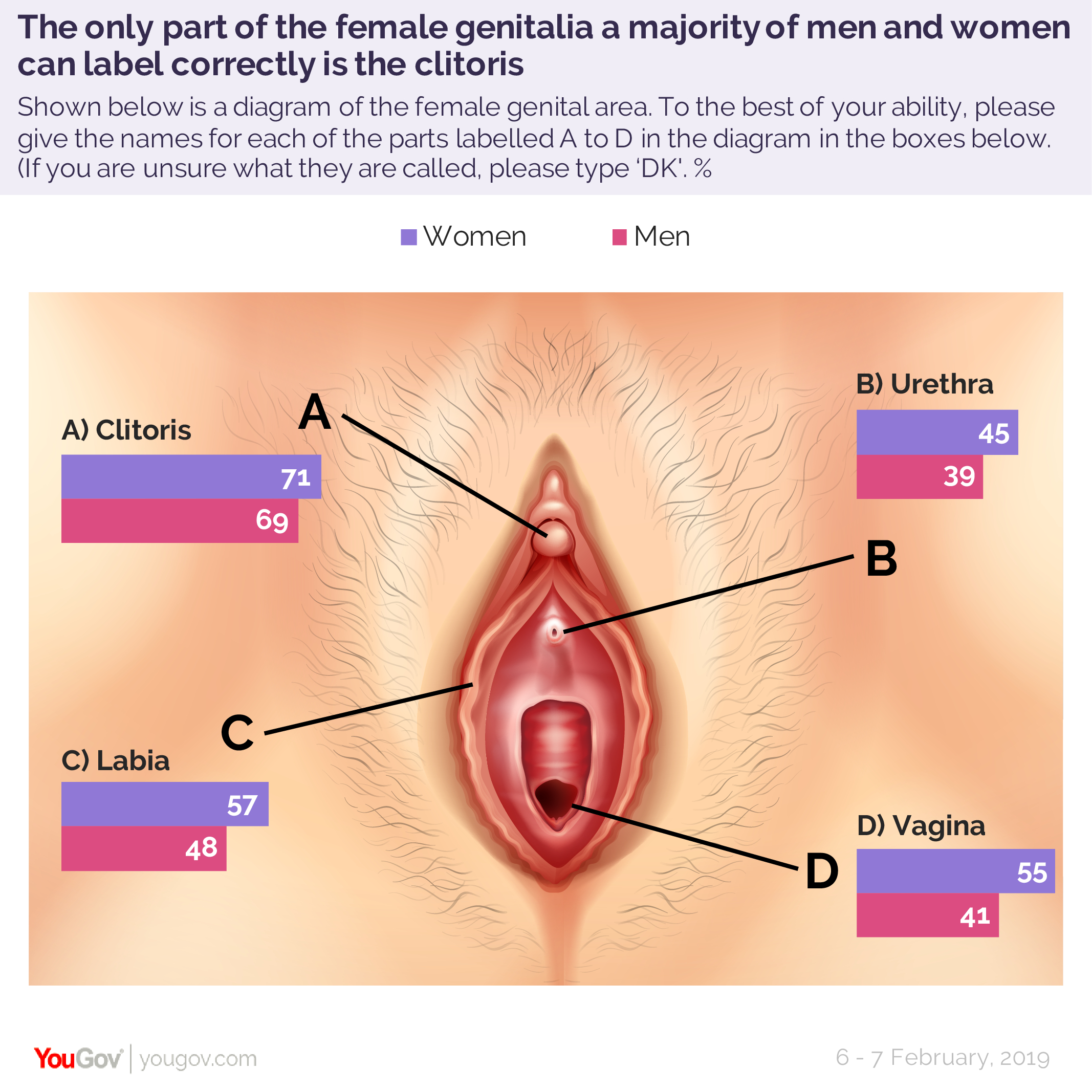 Women's Genitalia Diagram Half Of Brits Dont Know Where The Vagina Is And Its Not Just The