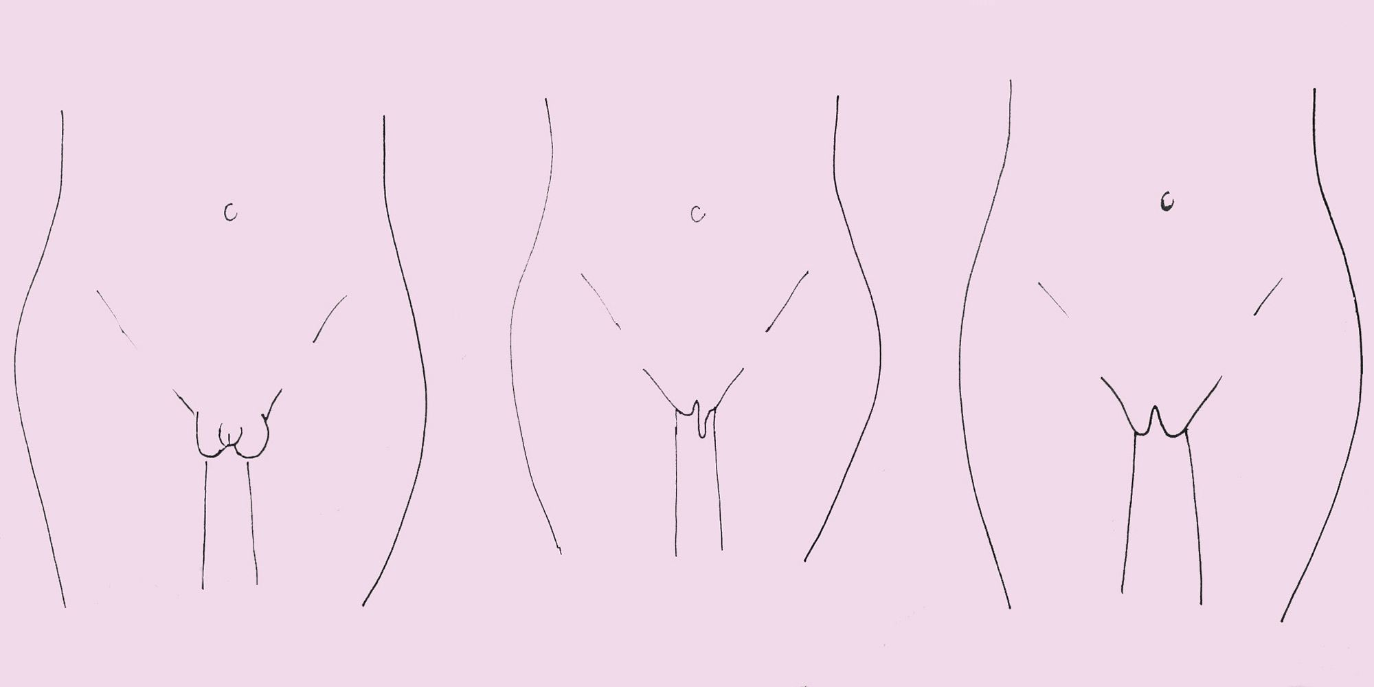 Women's Genitalia Diagram Is My Vagina Normal Here Are The 7 Different Types Of Labia