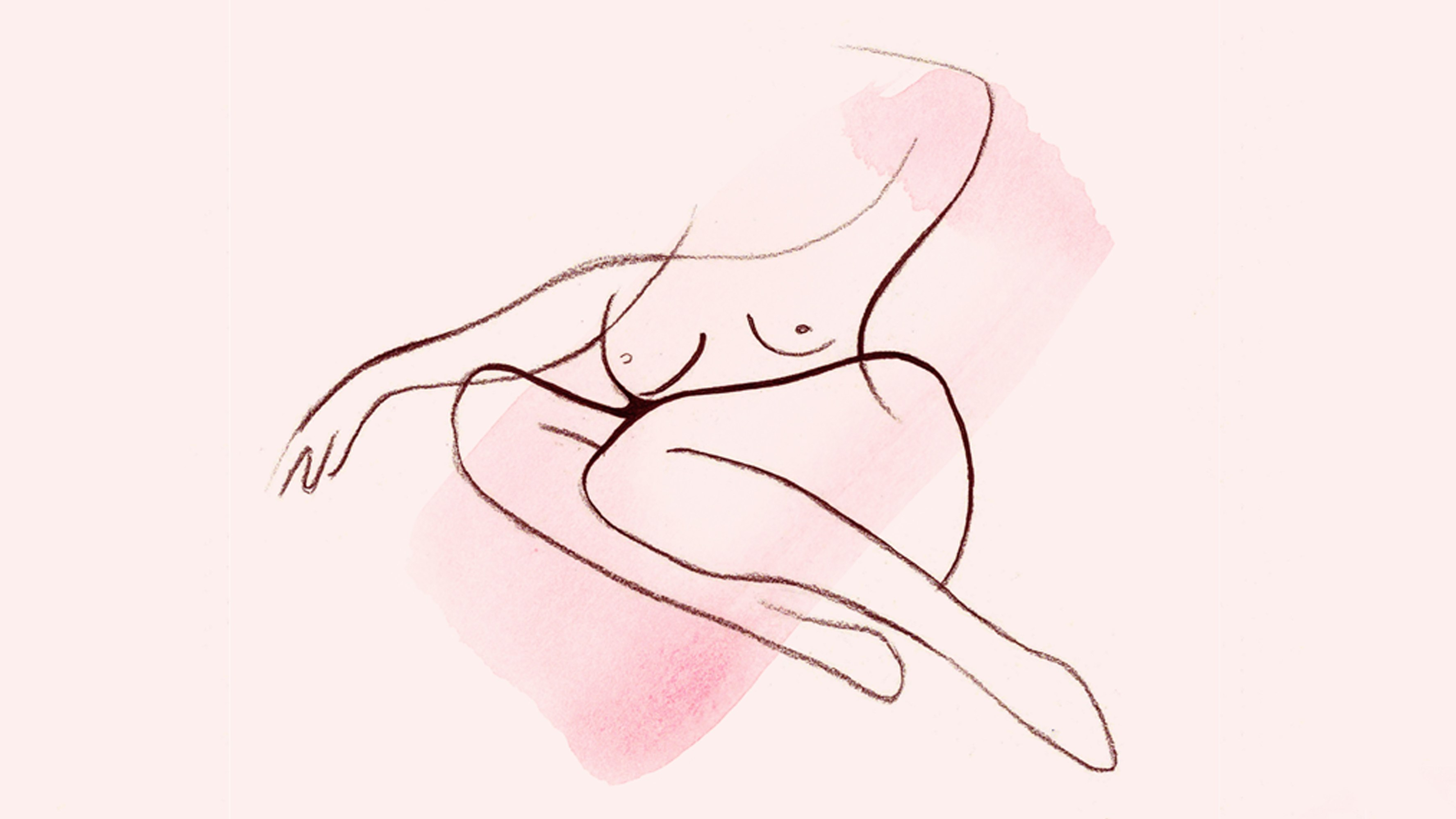Women's Genitalia Diagram Vagina Diagram Anatomy Everything You Need To Know Teen Vogue